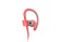 Beats Powerbeats2 Wireless