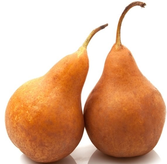 Gruszka konferencja Gruszka konferencja