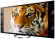Sony KDL-55W905